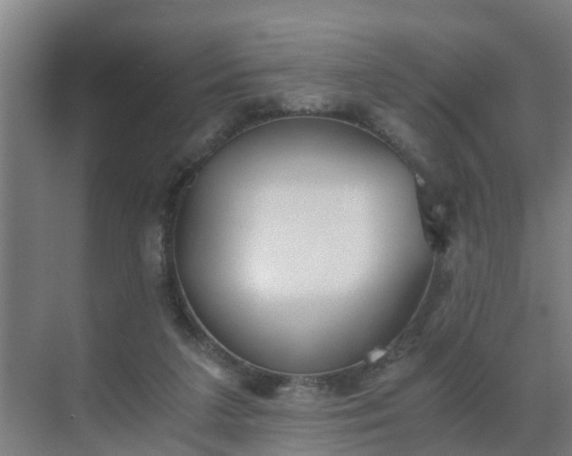 X0000069810211200605261757