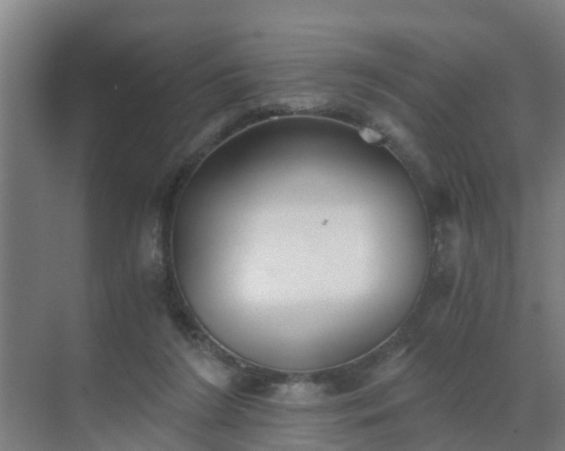 X0000069810212200605261757