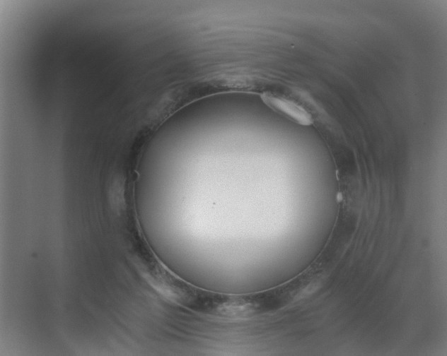 X0000069810213200605261757