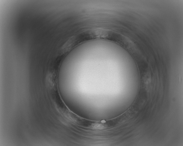 X0000069810218200605261757