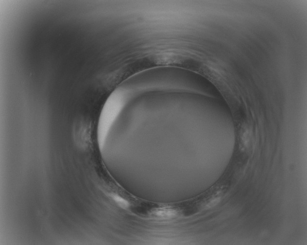 X0000069810219200605261757