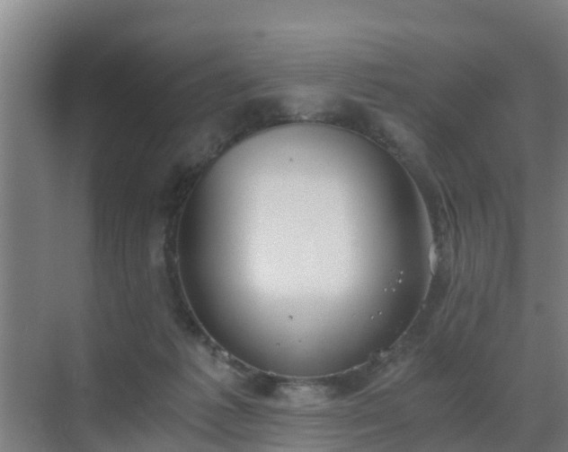 X0000069810221200605261757