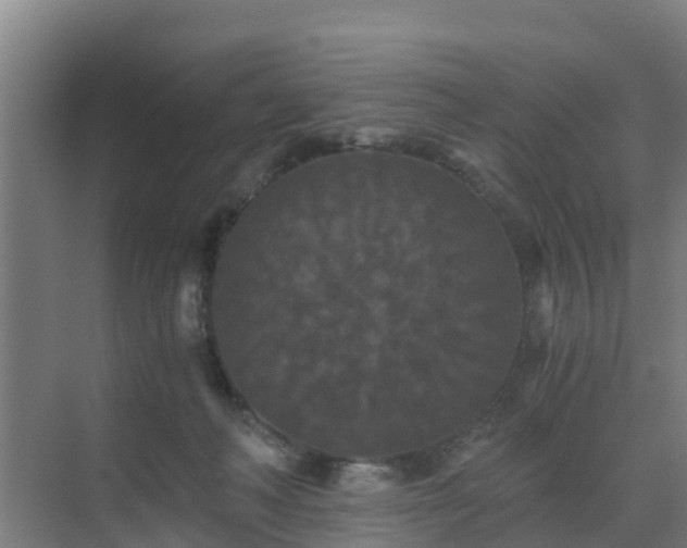 X0000069810222200605261757