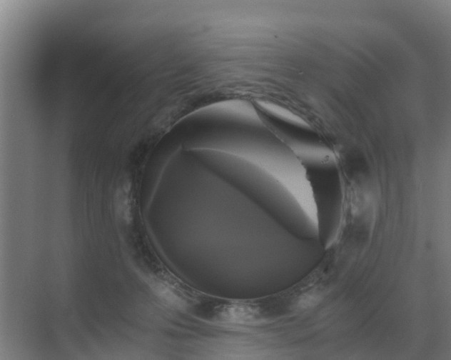 X0000069810223200605261757