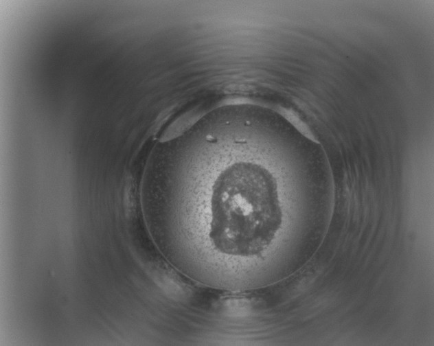 X0000069810228200605261757