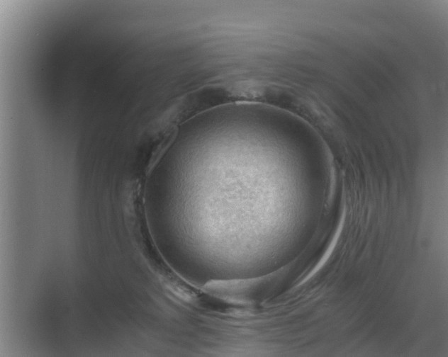 X0000069810229200605261757