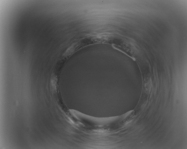 X0000069810231200605261757