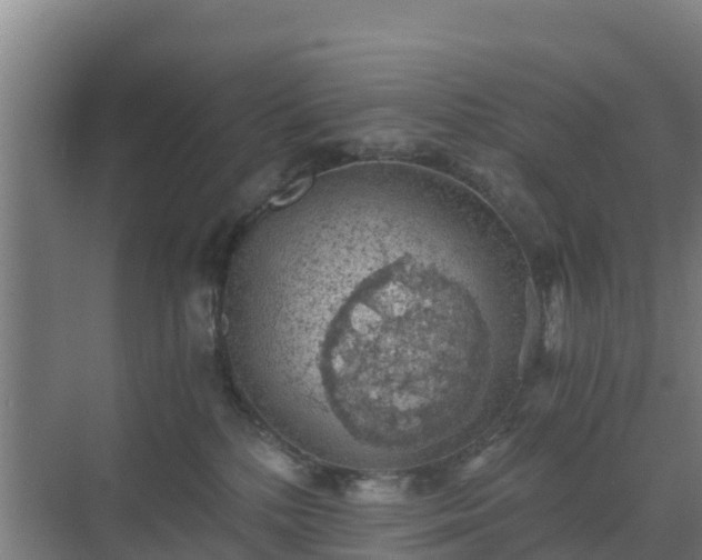 X0000069810232200605261756