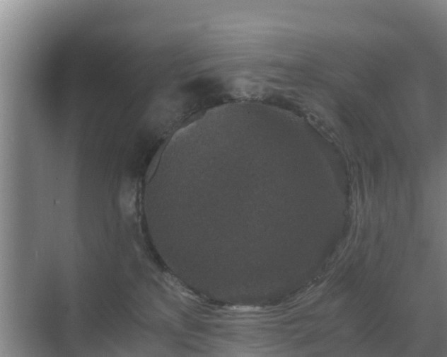 X0000069810233200605261756