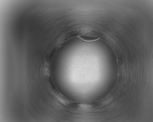 X0000069810234200605261756