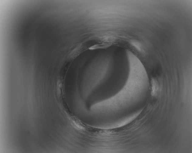 X0000069810235200605261756