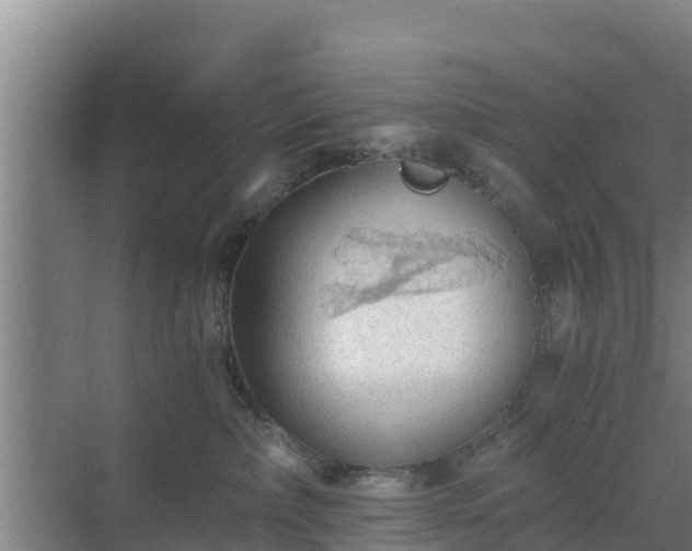 X0000069810236200605261756