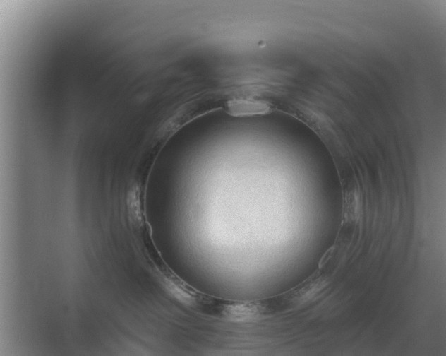 X0000069810238200605261756