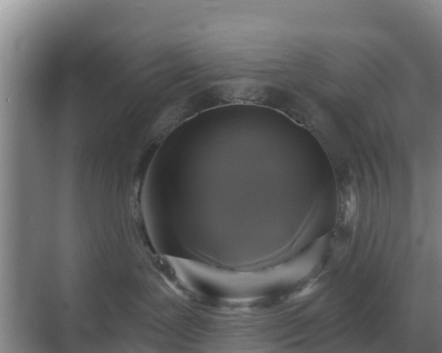 X0000069810239200605261756