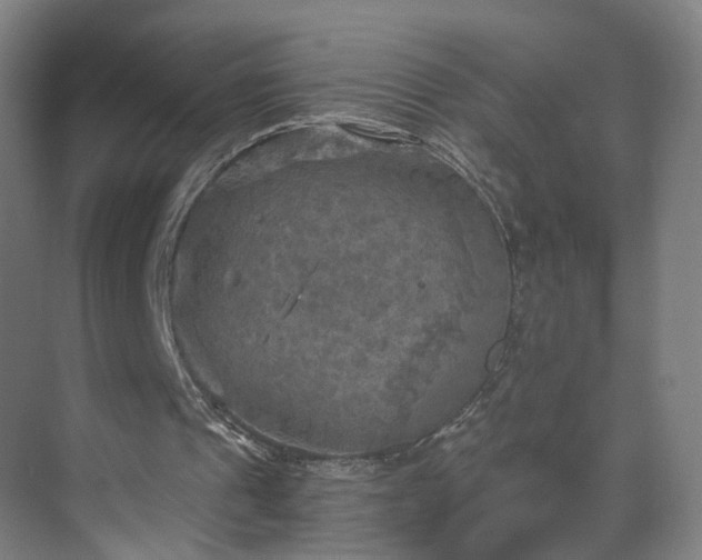 X0000069810241200605261756