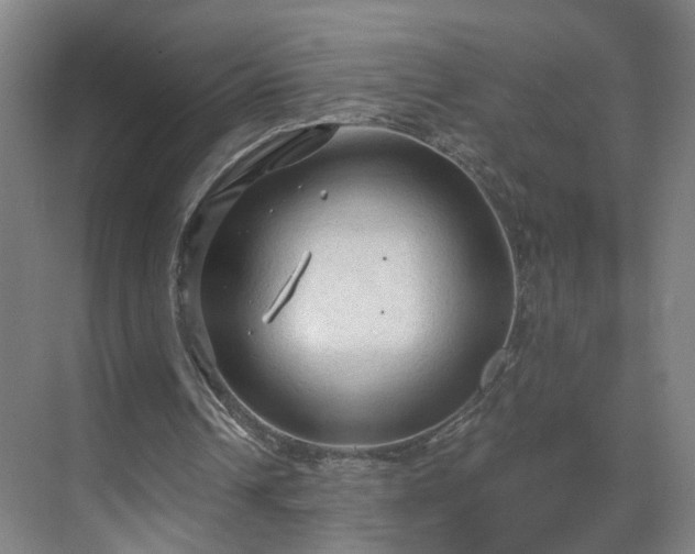 X0000069810242200605261756