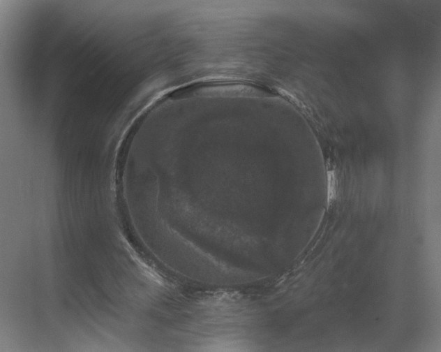 X0000069810243200605261756