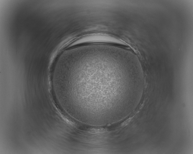 X0000069810245200605261756