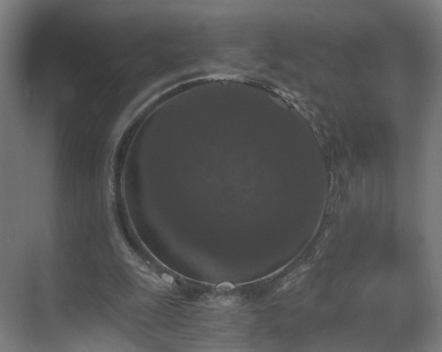 X0000069810247200605261756