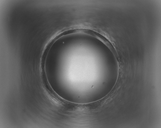 X0000069810248200605261756