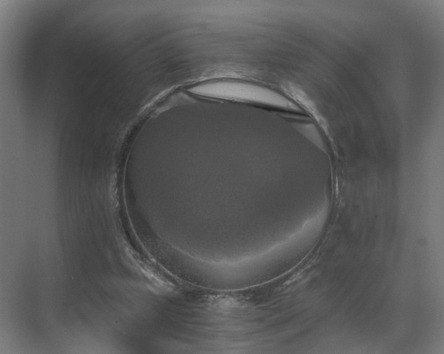 X0000069810249200605261756