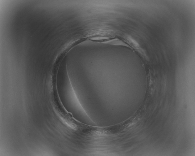 X0000069810250200605261756