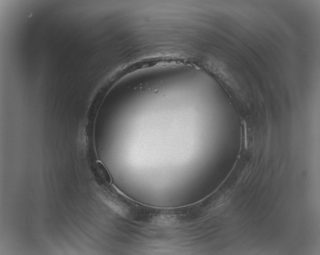 X0000069810252200605261756