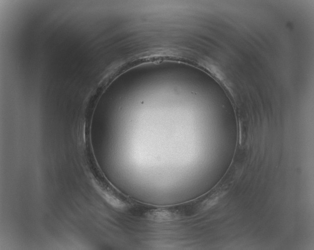 X0000069810253200605261756