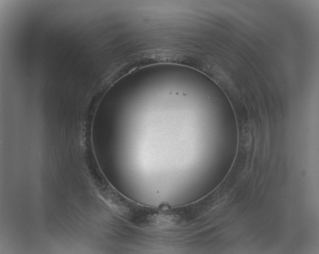 X0000069810255200605261756