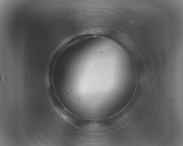 X0000069810256200605261756