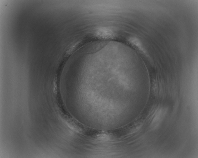 X0000069810259200605261756