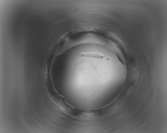 X0000069810260200605261756