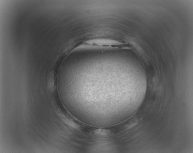 X0000069810261200605261756