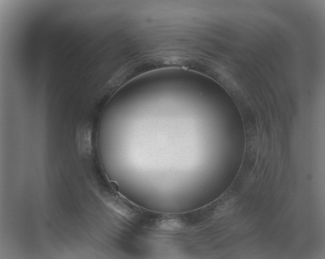 X0000069810262200605261756