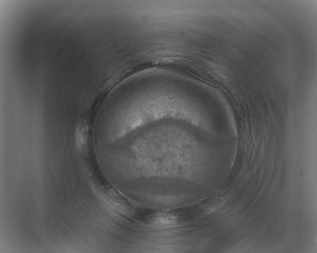 X0000069810263200605261756