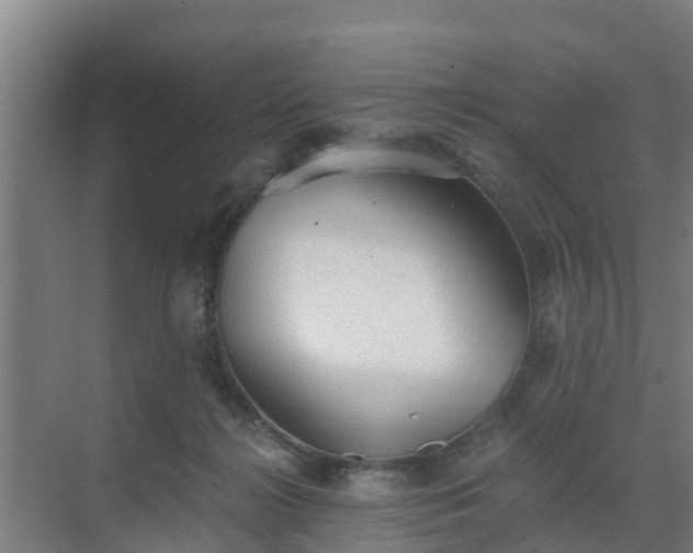 X0000069810268200605261756