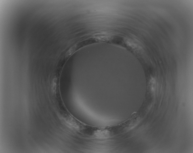 X0000069810271200605261756