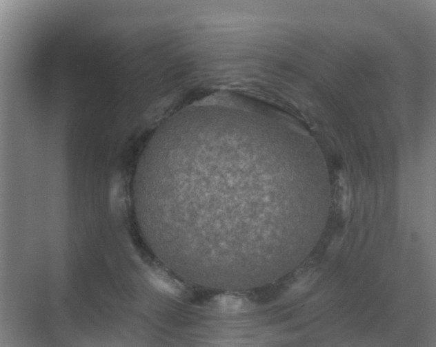 X0000069810272200605261756