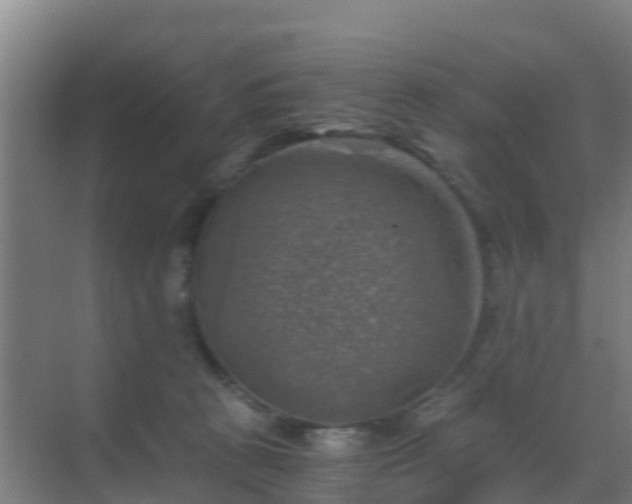 X0000069810273200605261756