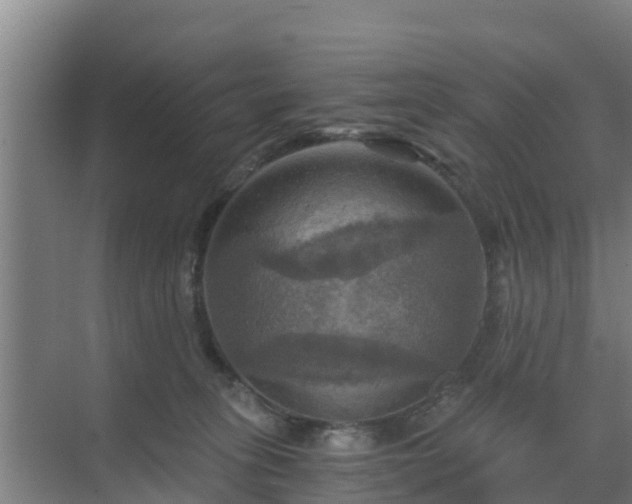 X0000069810275200605261756