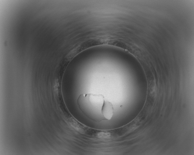 X0000069810279200605261756