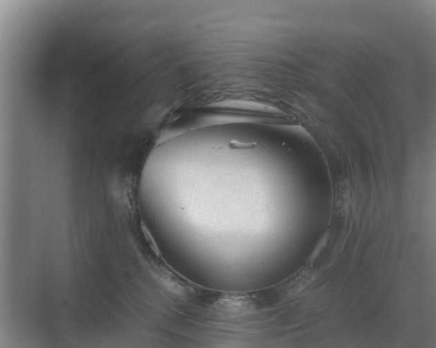 X0000069810280200605261756