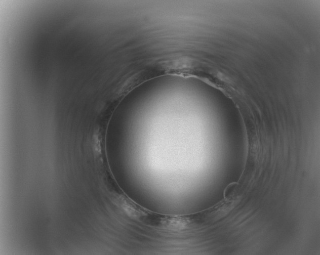 X0000069810282200605261756