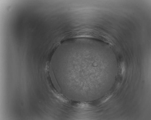 X0000069810284200605261756