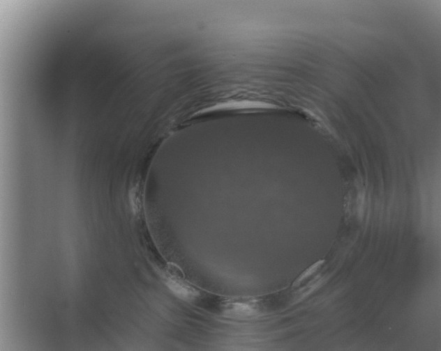 X0000069810285200605261756