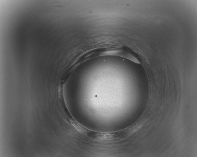 X0000069810288200605261756