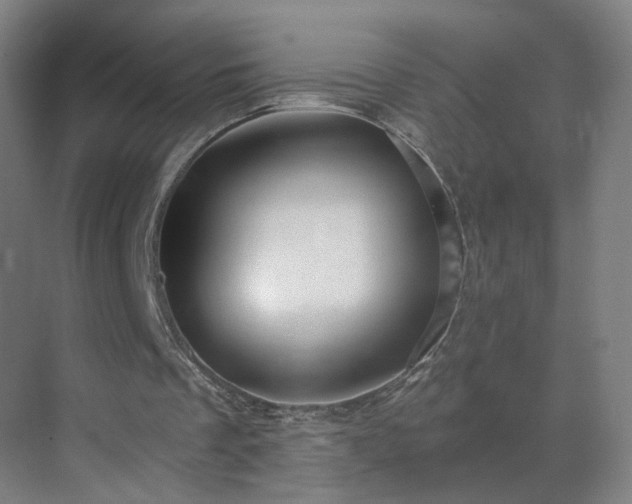 X0000069810289200605261756