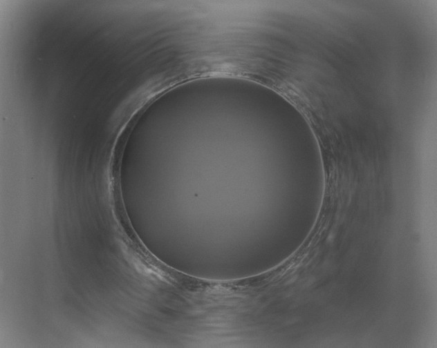 X0000069810290200605261756