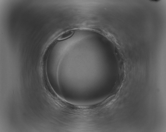 X0000069810295200605261755