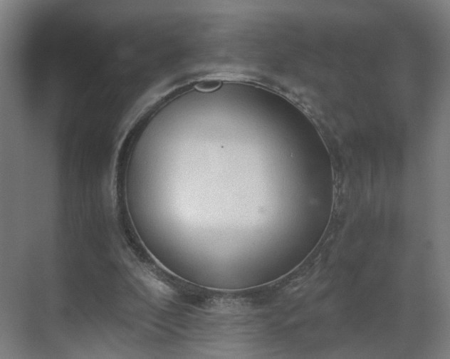 X0000069810296200605261755